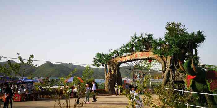 梦幻后山游乐场-"白天去的,感觉一般,但是泾县能有这样的项.