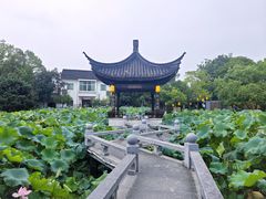 -丝绸小镇荻港古村