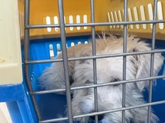 -美联众合动物医院·24h京西诊疗中心
