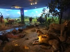 -大连自然博物馆·地球展厅