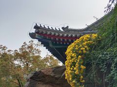 -香山公园-东宫门售票处