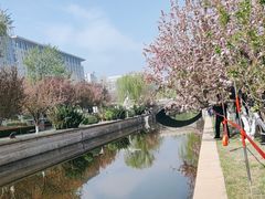 -元大都城垣遗址公园