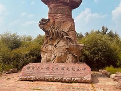 -嘉荫恐龙国家地质公园