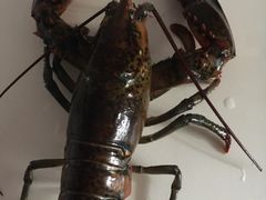 -盒马鲜生(大成店)