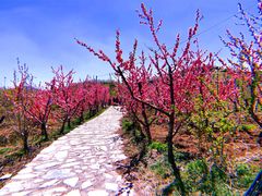-北京金海湖景区