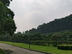 -东莞植物园