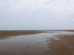 -刘家湾赶海园