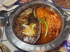 -贤合庄卤味火锅(济南泉城路店)