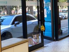 -瑞派康怡24h宠物医院·犬猫医疗中心·微创绝育(瑞景分院)