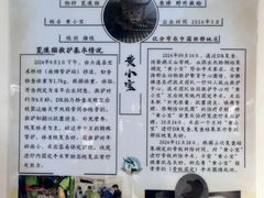 -青藏高原野生动物园
