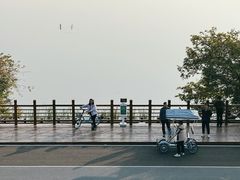 -大湾区中央湿地公园