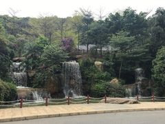-广州市帽峰山景区