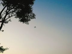 -东郊湿地公园