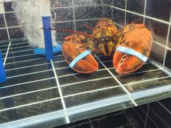 -王记姚家味·地道苏帮菜(凤凰街店)