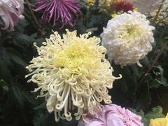 -上海市龙华烈士陵园