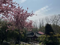 -采石矶景区