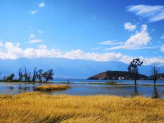 -大理洱海
