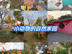 -HERRE·FARM 赫尔露营农场·团建聚会包场