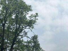 -贵阳市花溪国家城市湿地公园