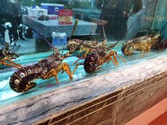 水产区-海逸海鲜酒家(古北店)