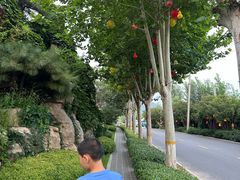 -静之湖湖畔餐厅