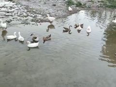 -村东第一家私房菜馆(古北水镇店)
