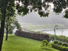 -东莞植物园