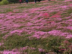-昆嵛山石门里景区