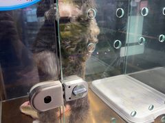-FAELING PETS美天灵宠物(富力广场店)