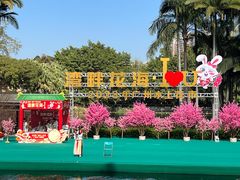 -荔湾湖公园
