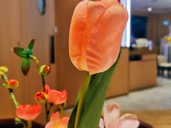 -哈根达斯(金湖广场店)