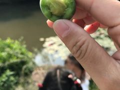 -孙武文化园-停车场