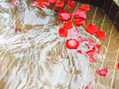 -三亚珠江南田温泉度假区