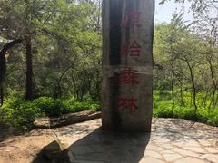 -大青沟风景区