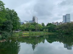 -四海公园(南山区)