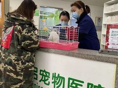 -爱侣宠医·鹦鹉专科·小型哺乳类·异宠专科(灵石路店)