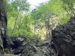 -大连天门山国家森林公园