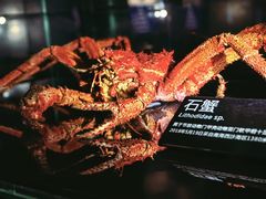 -同济大学四平路校区深海探索馆