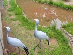 -西霞口神雕山野生动物世界