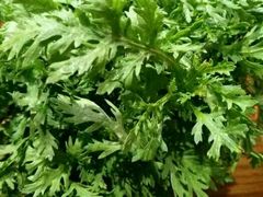 匙皮-手选潮汕鲜活牛肉火锅(二七广场店)