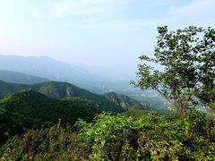 -阳台山自然风景区