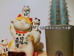 -团子君寿司·茶
