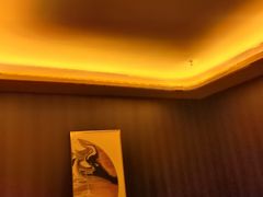 -舞指仙境足浴按摩(政务店)