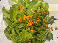 -田园北魏家宴·大同菜(御东店)