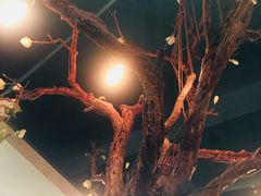 -梧桐树下(云锦世家店)