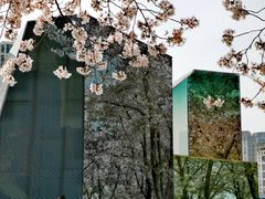 -龙美术馆(西岸馆)