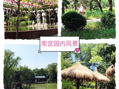 景点-南宫五洲植物乐园