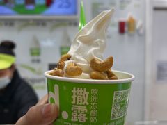 -Salud撒露欧洲冻酸奶(蓝色港湾店)