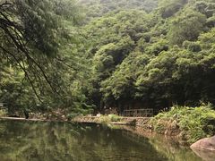 -白云源风景区