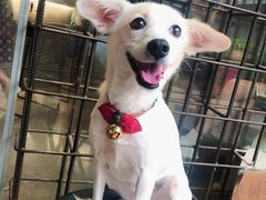 -BE NORMAL CAFE(霞溪路店)